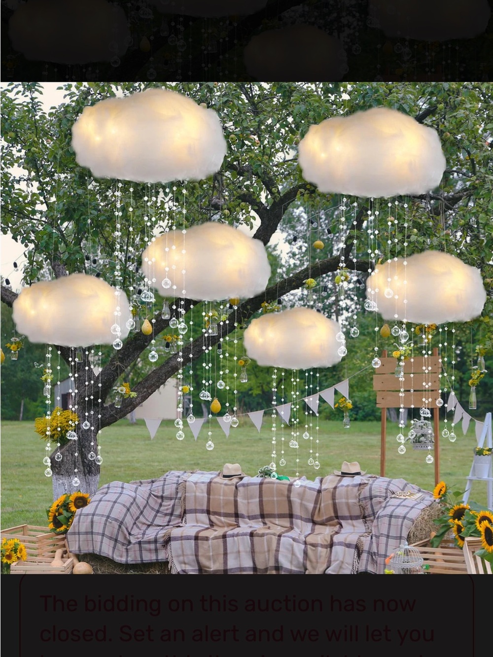Cloud lights